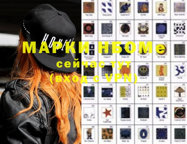 прущие грибы Медвежьегорск