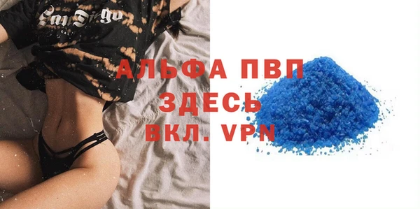 прущие грибы Медвежьегорск